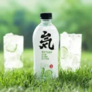 Genki Forest Sparkling Water 480ml 元气森林气泡水480ml/箱